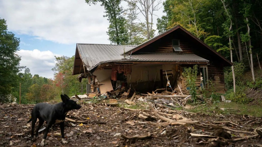 Una foto de una casa destrozada y hay un perro a lado.