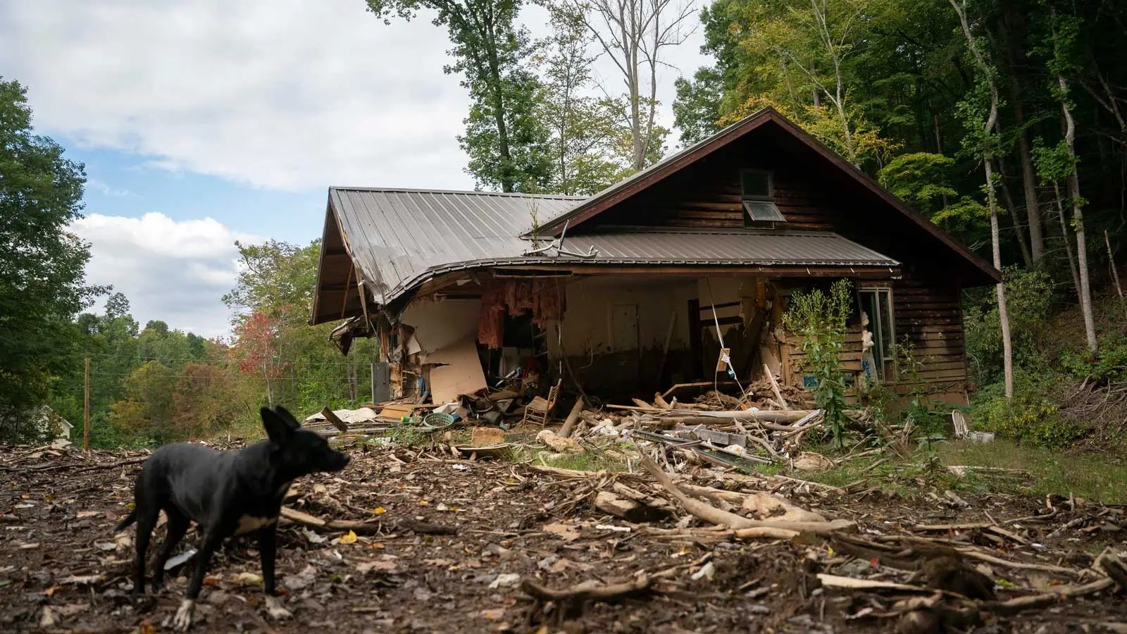 Una foto de una casa destrozada y hay un perro a lado.