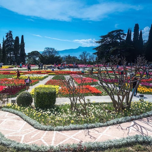 Кактусовая оранжерея, дегустация крымских вин, а также. Ekskursiya V Nikitskij Botanicheskij Sad Iz Yalty 2021
