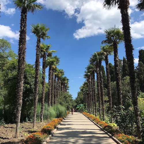 Прекрасный день декабря в никитском ботаническом саду… 23.12.2021. Ekskursiya V Nikitskij Botanicheskij Sad Iz Yalty 2021