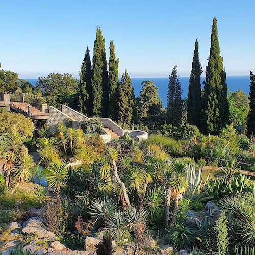 Экскурсия в никитский ботанический сад — это знакомство с наиболее интересными экзотическими древесными растениями верхнего и нижнего парков в течение полуторачасовой прогулки. Ekskursiya V Nikitskij Botanicheskij Sad Iz Yalty 2021