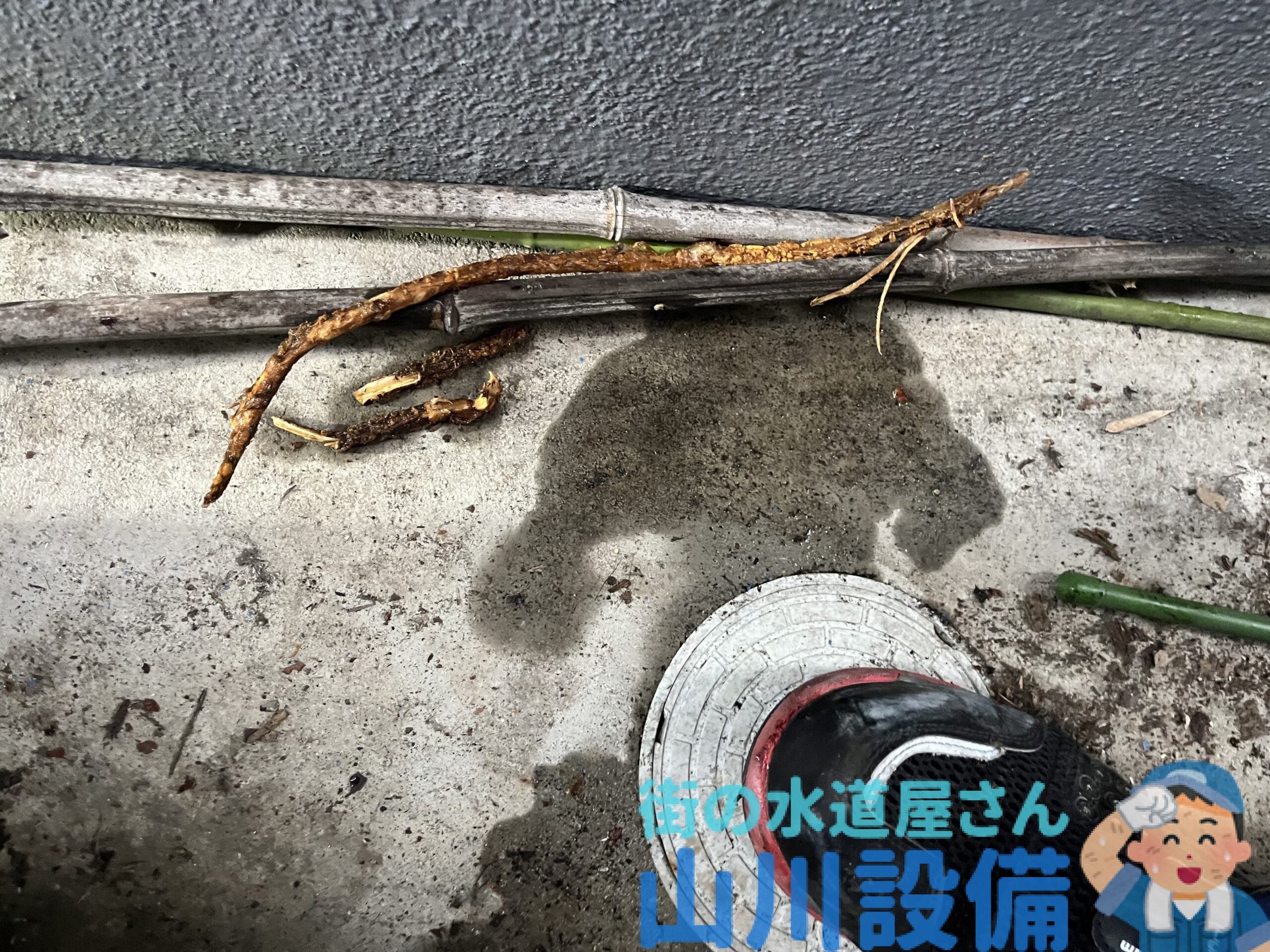 門真市南野口町で太い木の根が汚水管に侵入したら山川設備にお任せ下さい。