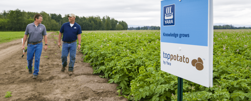 Potato Crop Nutrition Yara India - Classic High Resolution Colorful Patterns | Free Download