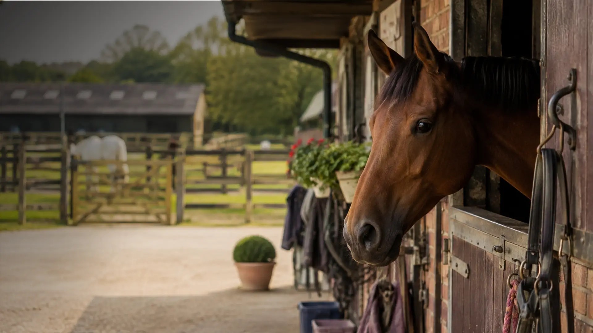 Livery guide hero image