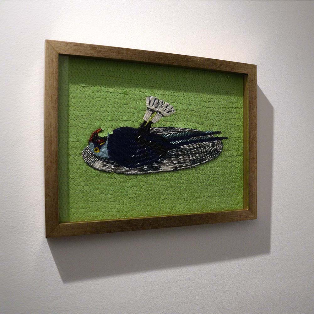 Fotografia Gilson Camargo