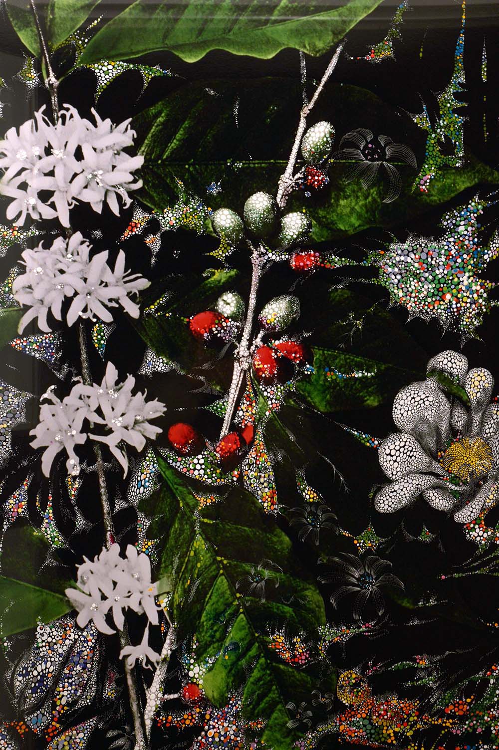 Fotografia Gilson Camargo