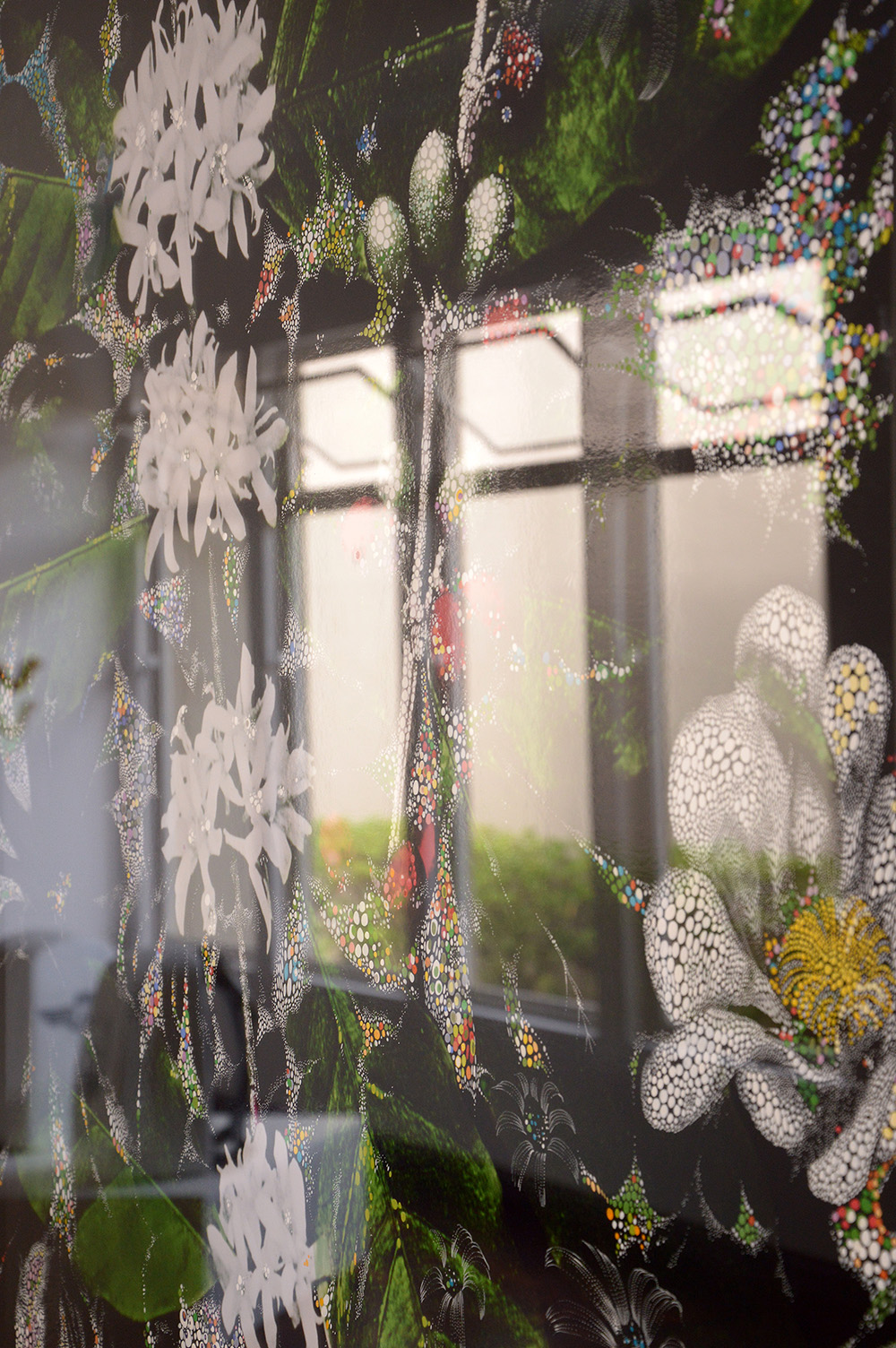 Fotografia Gilson Camargo