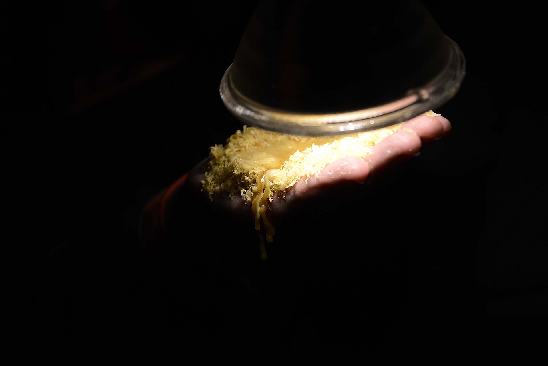 Fernando Ribeiro - Amálgama, 2016 - Performance - 60 minutos - Foto Gilson Camargo