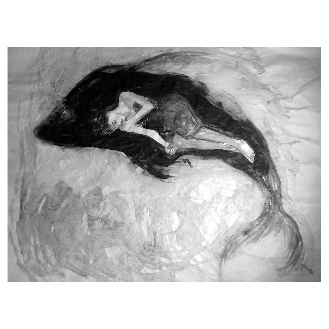 Sem Título - FERNANDO CARDOSO - 50 x 60 cm