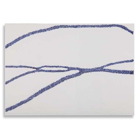 Debora Santiago - Serie Entre Rios, 2007 - 250 x 35 cm - (05 módulos de 50 x 35 cm)