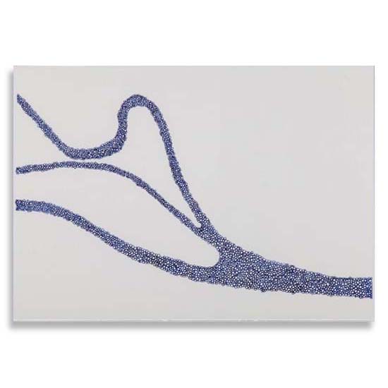 Debora Santiago - Serie Entre Rios, 2007 - 250 x 35 cm - (05 módulos de 50 x 35 cm)
