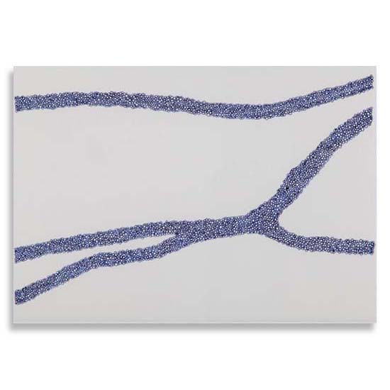 Debora Santiago - Serie Entre Rios, 2007 - 250 x 35 cm - (05 módulos de 50 x 35 cm)