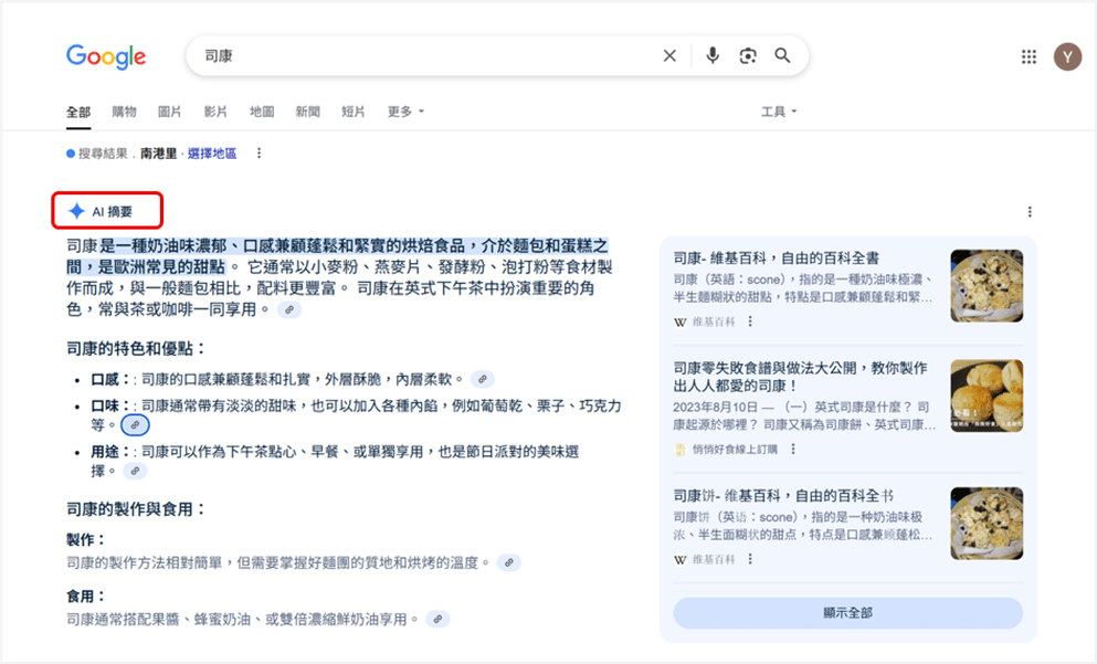 AI Overview AI摘要