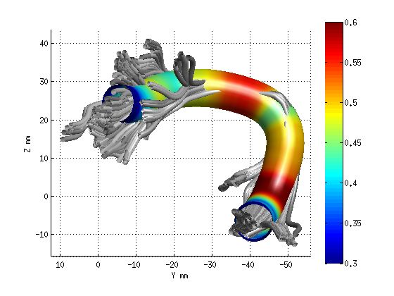 Tutorials Getting Started With The Pyafq Python Library Afq 1 3 2 - Modern Gradient Art - 8K