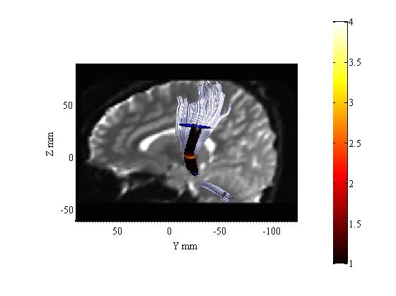 Afq Example Groupcomparison - Amazing Nature Texture - 8K