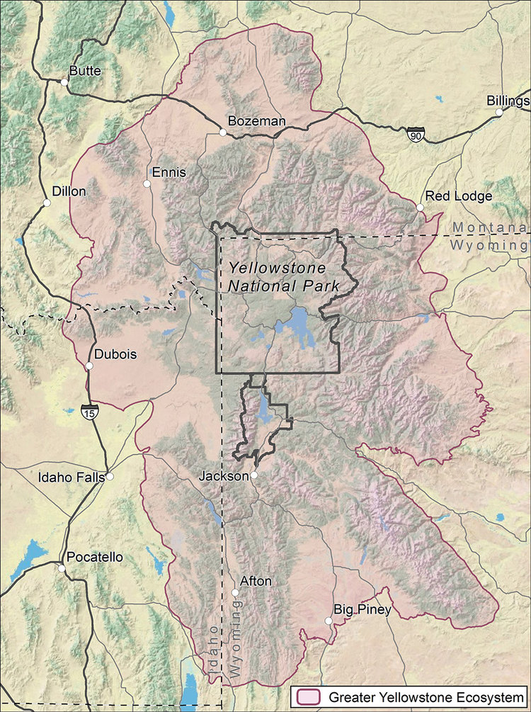 Education At Yellowstone Wildlife Sanctuary Lowres 