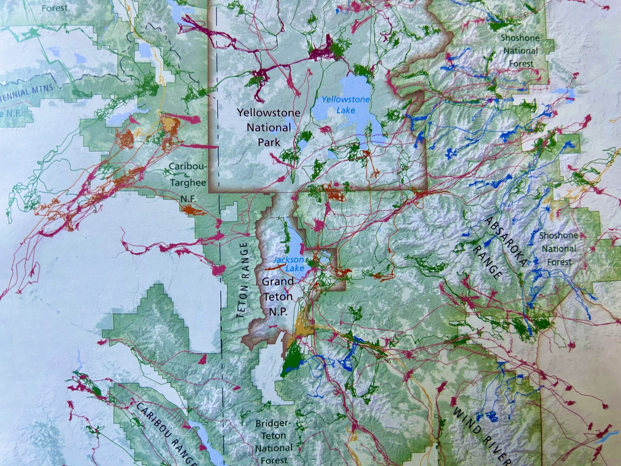 New Scientific Study Focuses On Largest Threat To Greater Yellowstone S IMG 4064 2048x1536 