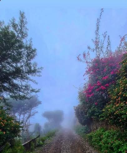 الأرصاد يحذر من تشكّل الصقيع ويدعو المزارعين لحماية محاصيلهم