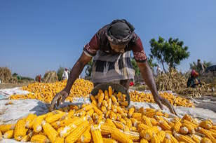 تحذير أممي من تفاقم أزمة الأمن الغذائي في اليمن