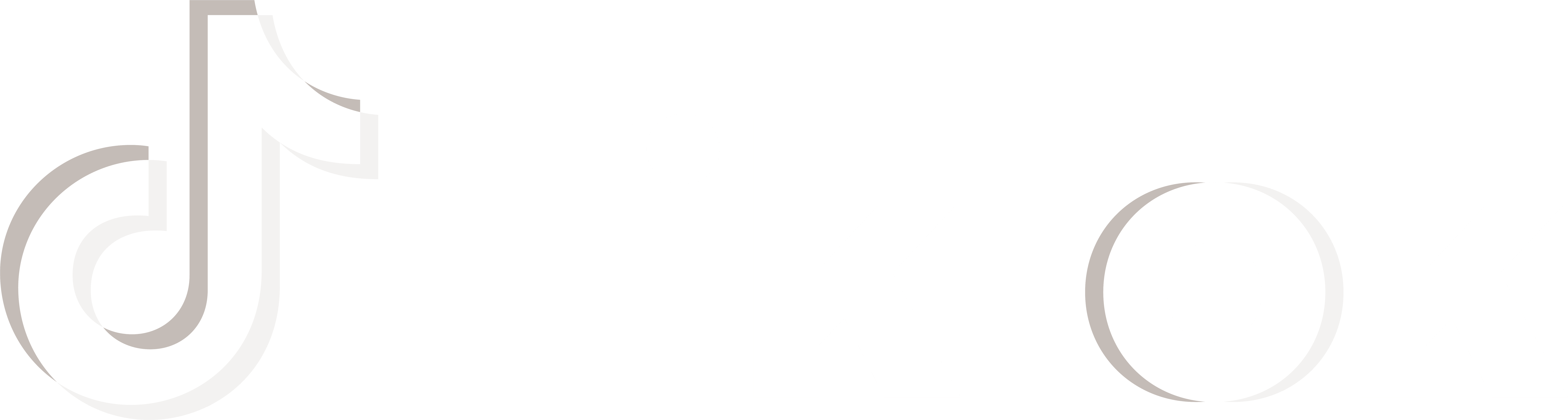 TIKTOK_PRIMARY_LOGO_WHITE