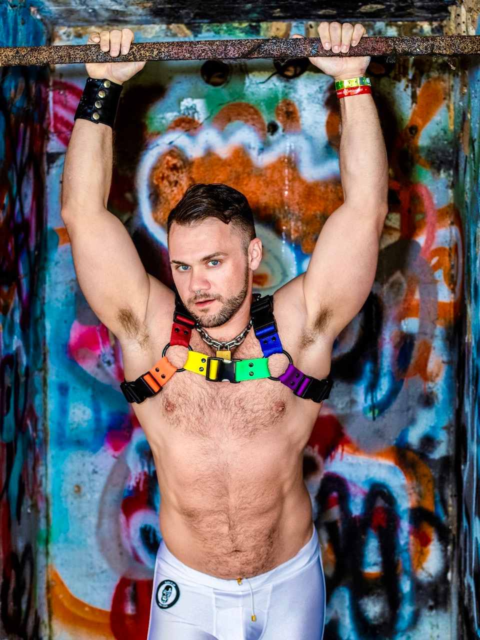 pride harness