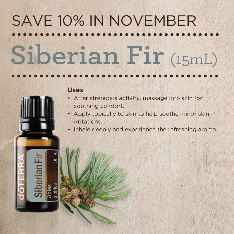 Siberian Fir