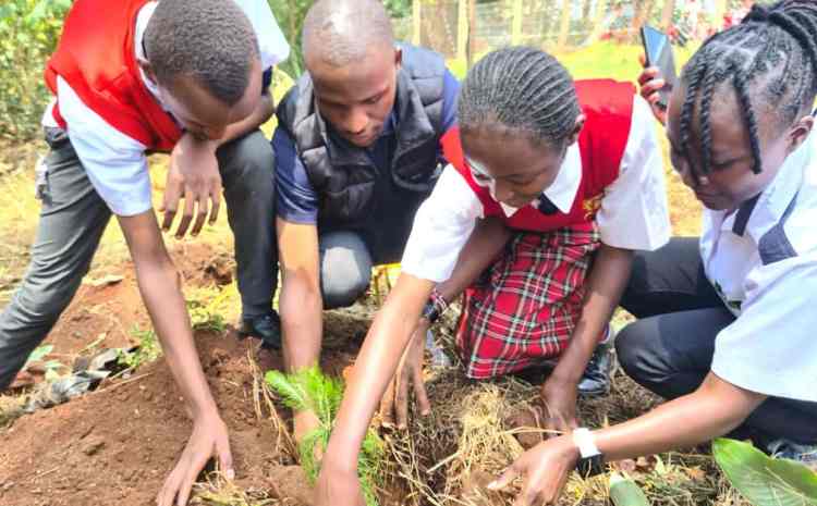  Youth Future Lab, Naturehub Collective, and KCB Bank Plant 1,700 Trees, Empowering Youth to Drive Climate Action in Kenyan Schools