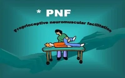 PNF header 2 - Y HỌC PHỤC HỒI
