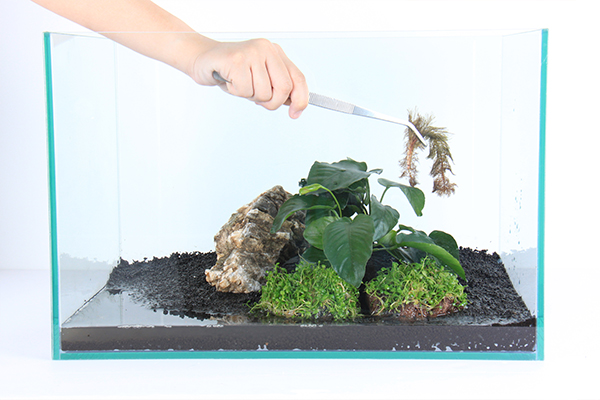 How To Set Up A Low Tech Planted Aquarium For Beginners Aquarium Co Op Gather your soil from your garden in a bucket.