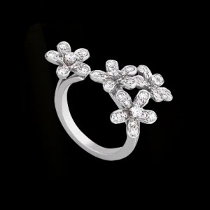 Finger Rings or Rings