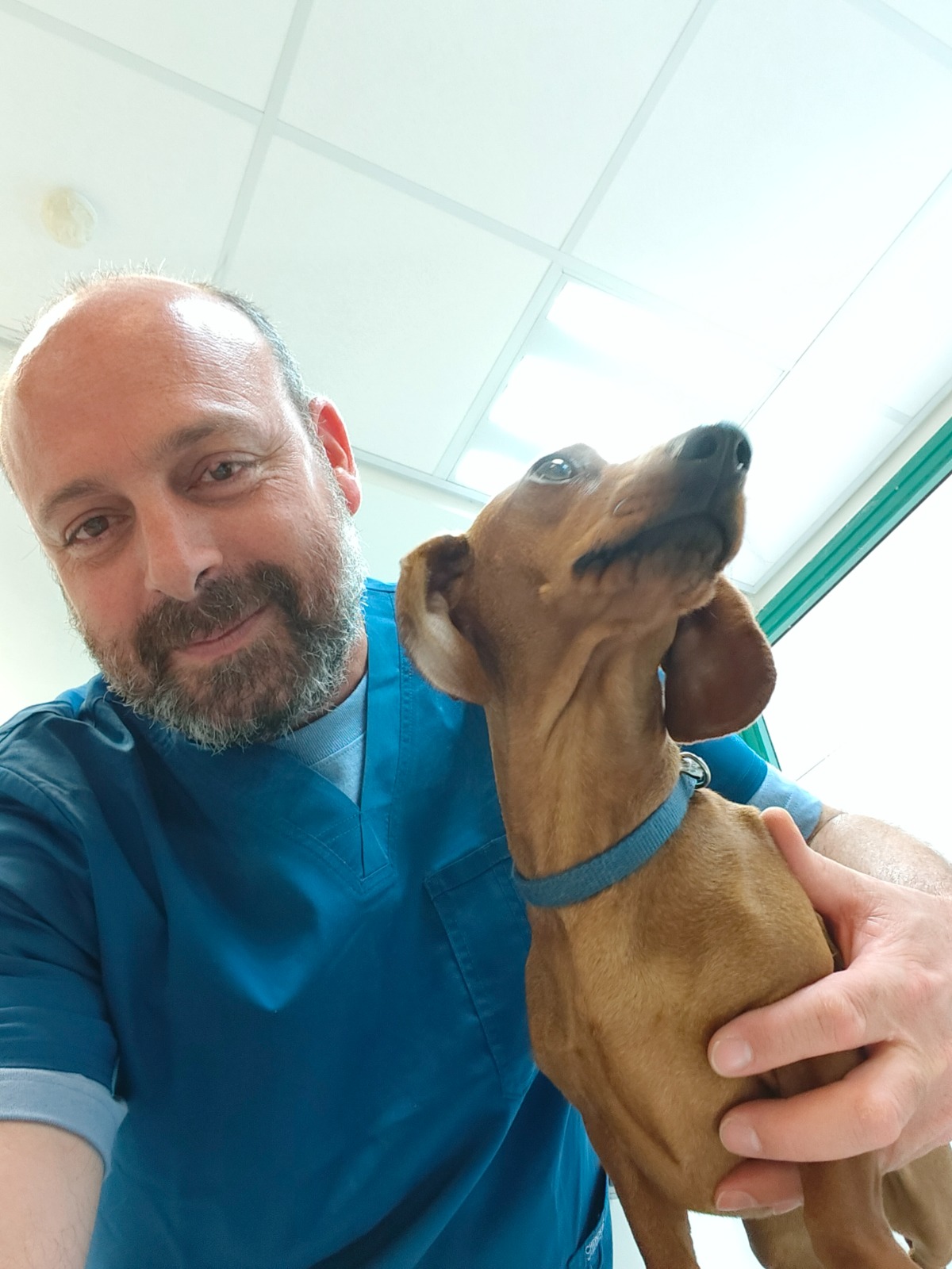 הווטרינר ד"ר אבירם עזרא