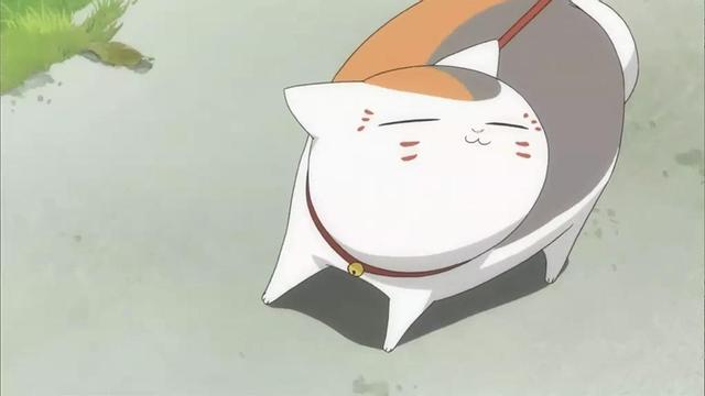 Github Kenwang815 Double Cat Cute Image About Cat - Full HD Gradient Images for Desktop