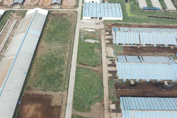 Datasharing Detail - Amazing Retina Gradient Pictures | Free Download