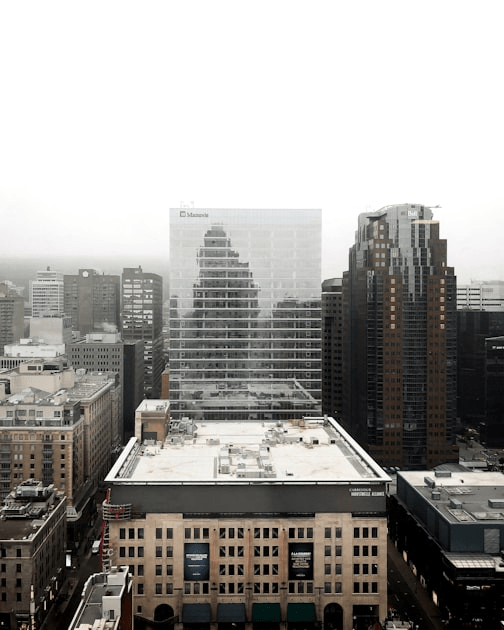 The Role of Local Knowledge