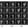 From Scratch - Generative Adversarial Networks