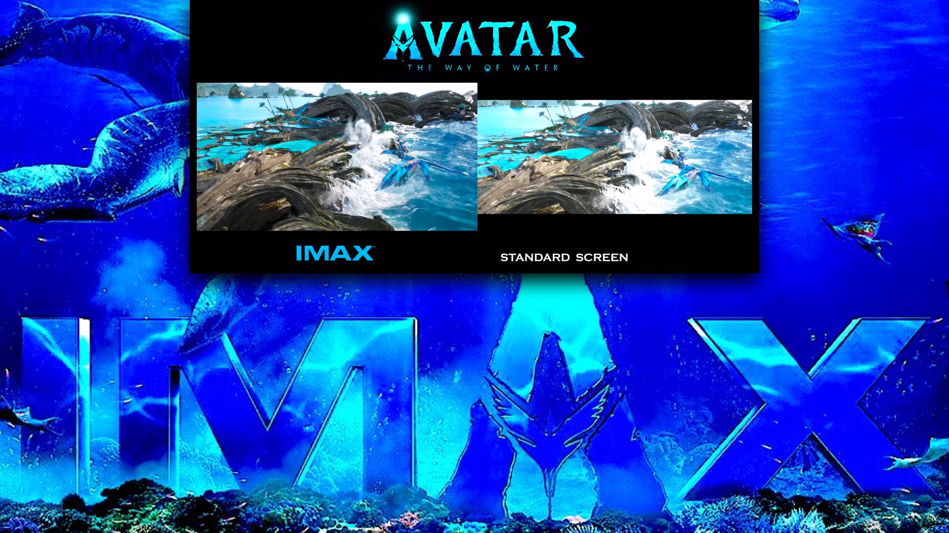 IMAX vs. Standard Screening: A Must-Watch Comparison - Y.M.Cinema 