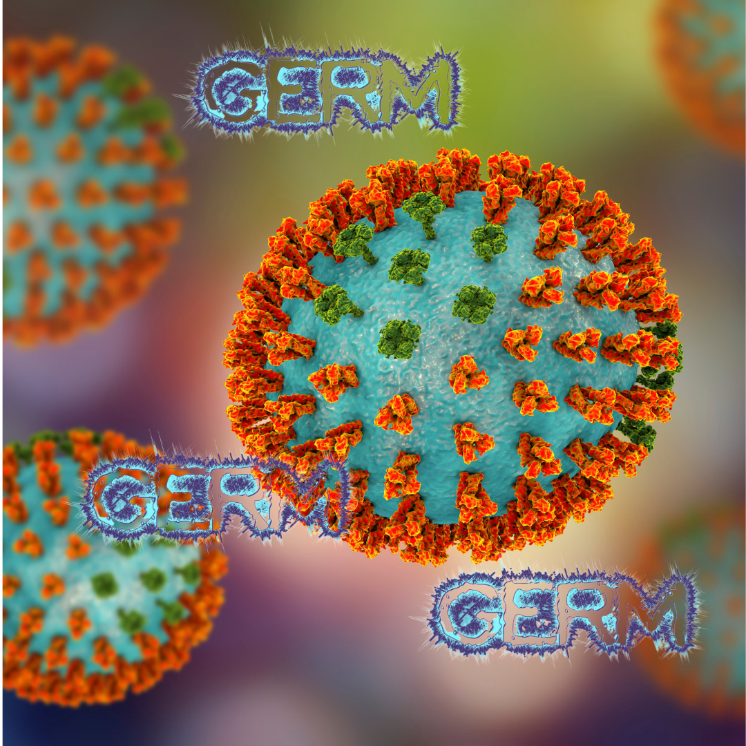germ cells