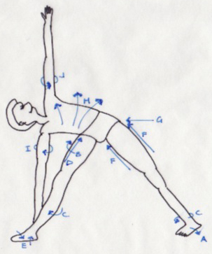 Sleep better with this bedtime or evening yoga routine, at womenshealthmag.com women's health may earn commission from the links on this page, but we only feature products we believe in. My Experience Of Utthita Trikonasana Iyengar Yoga With Stephanie