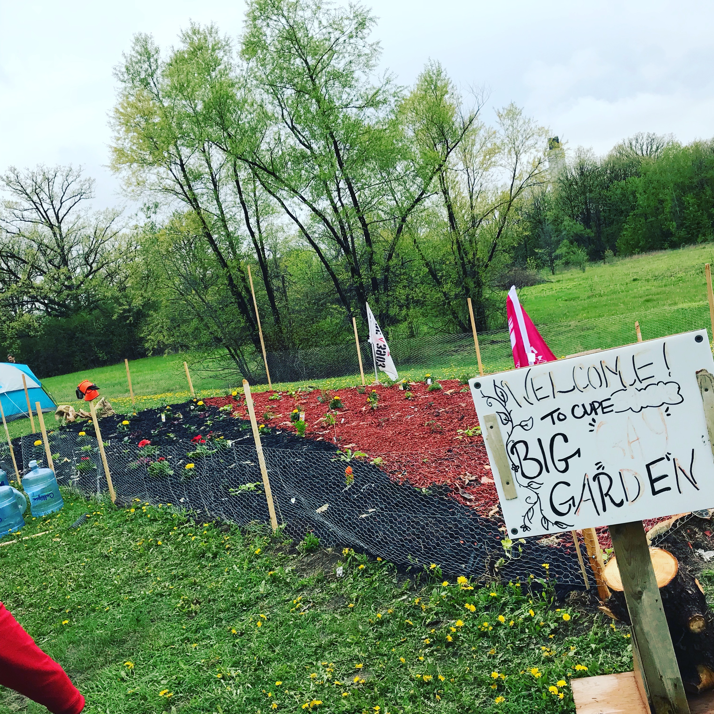 The Big Gay Garden at Main Gate, in its infancy