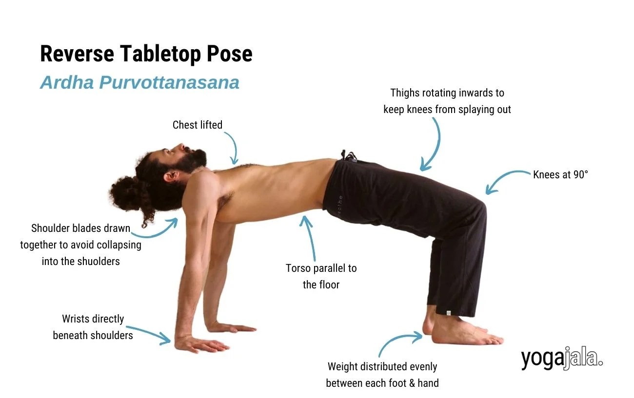 Unlock the secrets of reverse tabletop pose yoga: discover flexibility