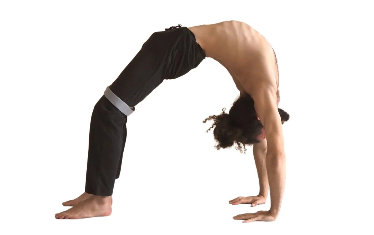 Yoga wheel pose variations