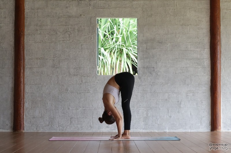 20 beginner yoga poses for flexibility free printable yoga rove