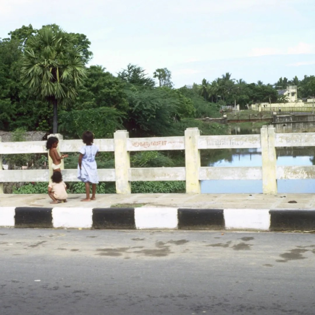 Poo Bridge