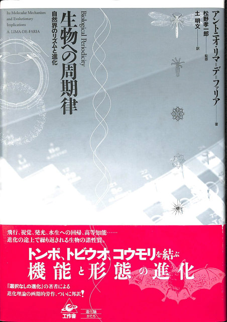 南ベトナム採集紀行 – 古本よみた屋