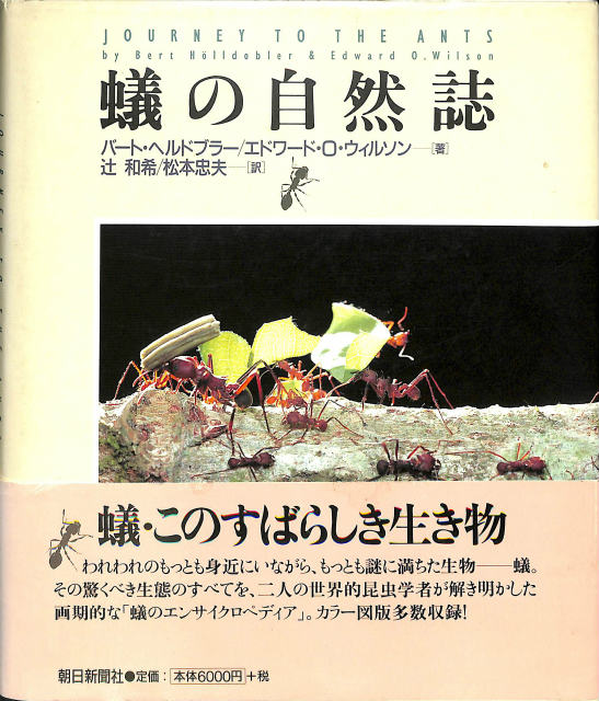 プリニウスの博物誌 全3巻揃 - 古本よみた屋