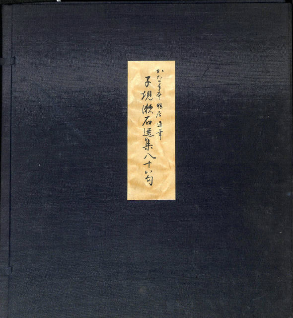 解説字体辞典 - 古本よみた屋