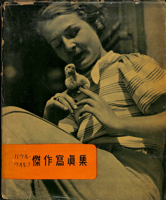 色と光の芸術 福田勝治天然色写真作品集 - 古本よみた屋