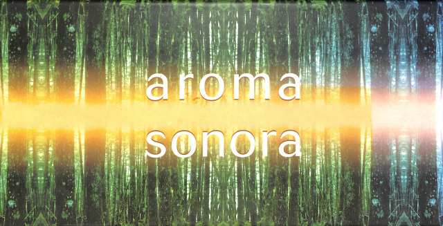ジョコンダ・デ・ヴィートの芸術 The Art of Gioconda de Vito CD9枚組