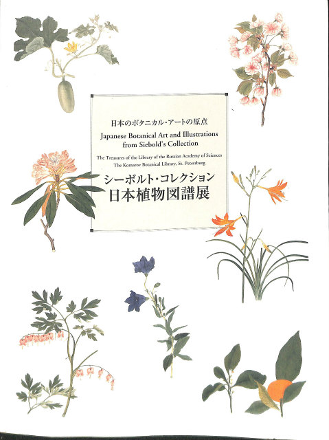 シーボルト・コレクション 日本植物図譜展 日本のボタニカル・アートの