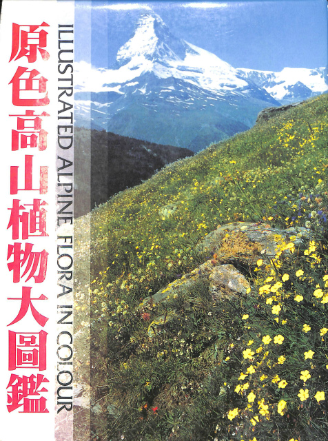 原色高山植物大図鑑 原色高山植物大図鑑 – 古本よみた屋